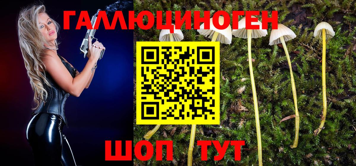 Галлюциногенные грибы GOLDEN TEACHER  Вход с VPN  Калуга 